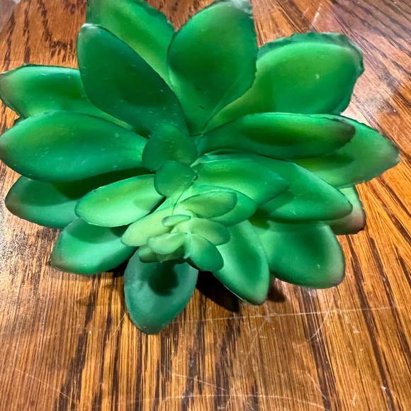Faux Succulents - Green 16 pcs - Picture 5 of 16